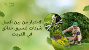 أفضل شركات تنسيق حدائق في الكويت